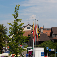 IMG_5690