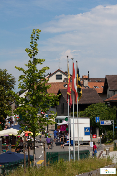IMG_5690
