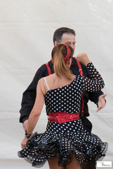 DANSE-DANSE-IMG_4433