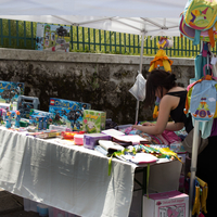 IMG_8677