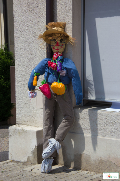 IMG_8681