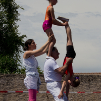 IMG_8865