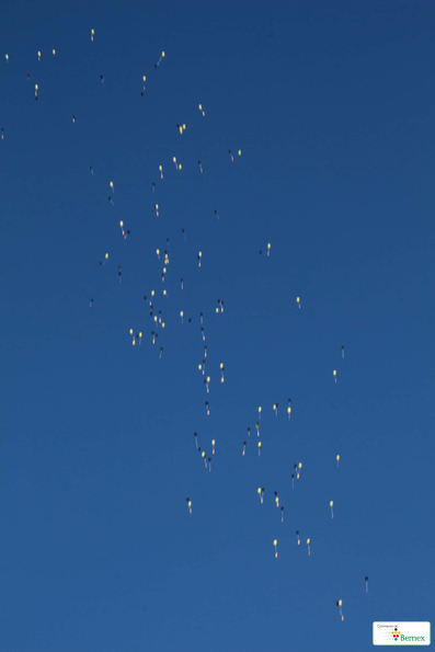 gr-6IMG_8379