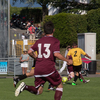 gr-6IMG_8460