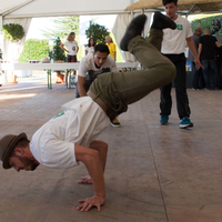 gr-6IMG_8535
