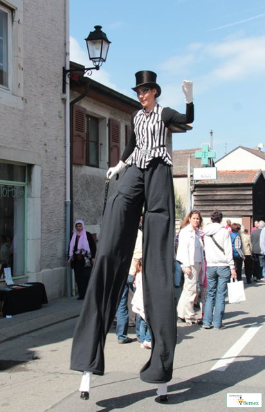 IMG_7849
