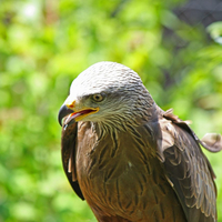 IMG_2327-copie