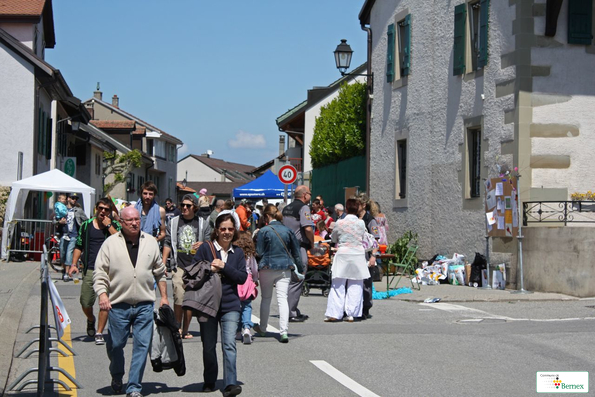 IMG_2412-copie